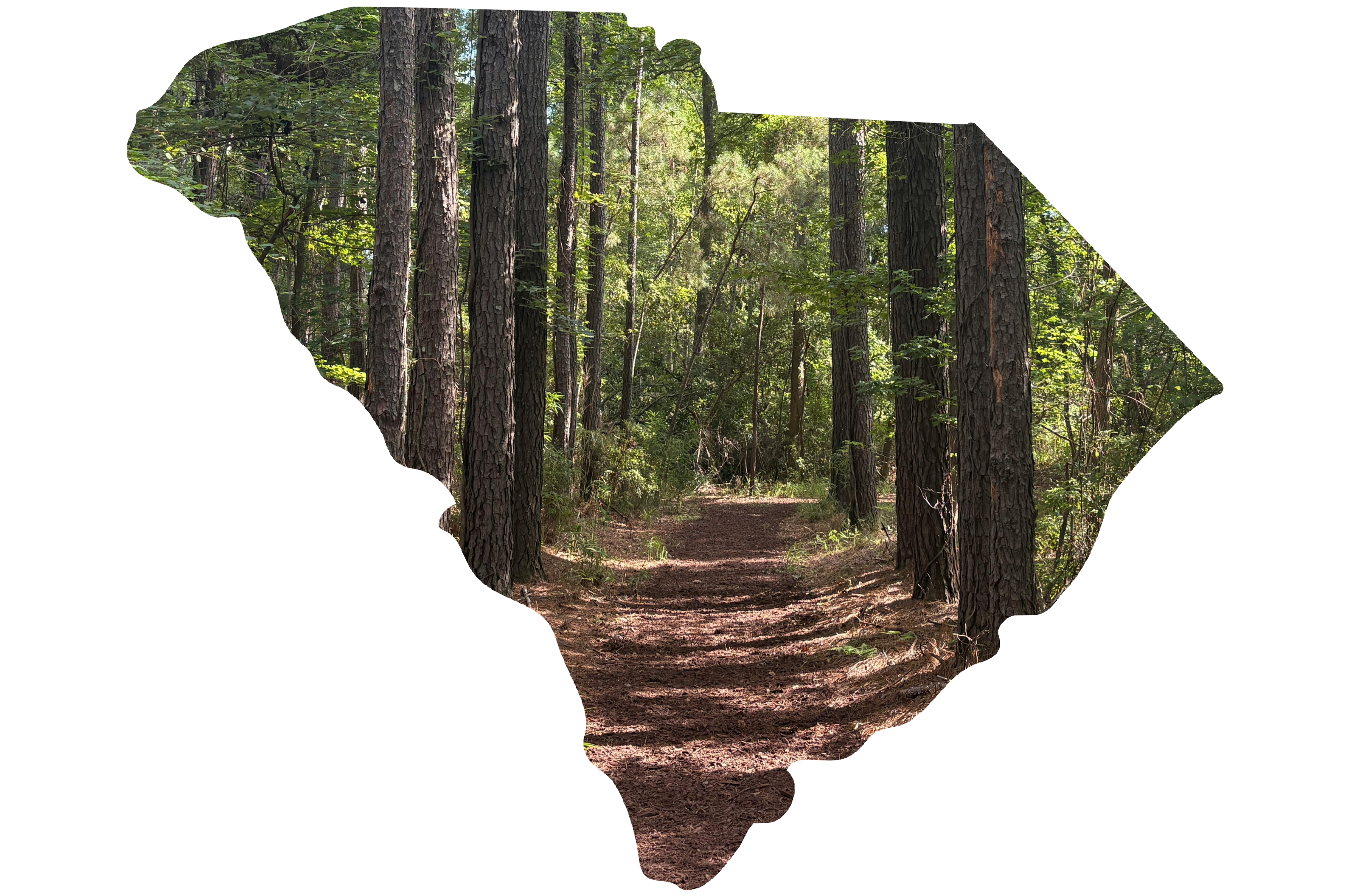 colleton state park with south carolina state outline