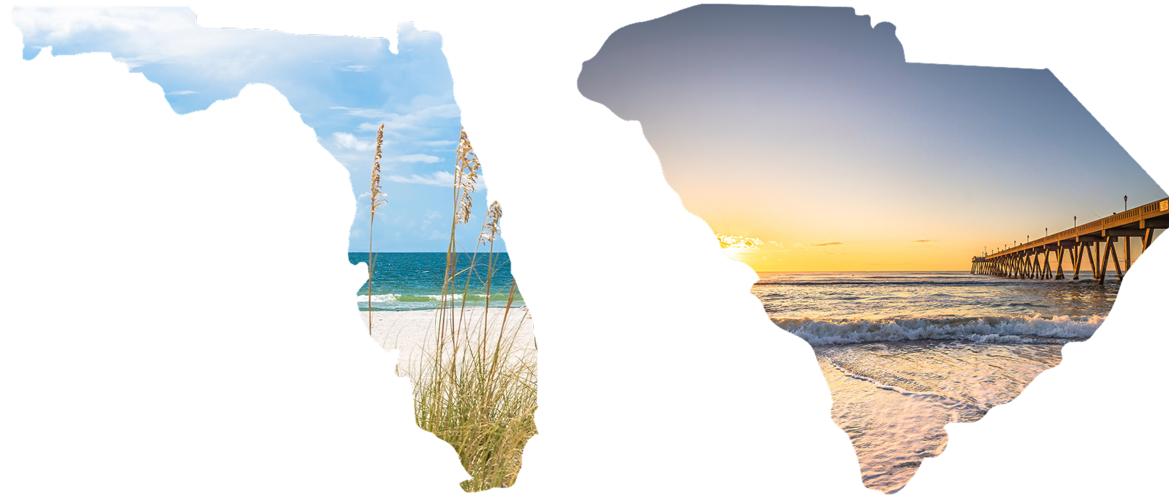 florida and south carolina state outline with beaches florida and south carolina state outline with beaches