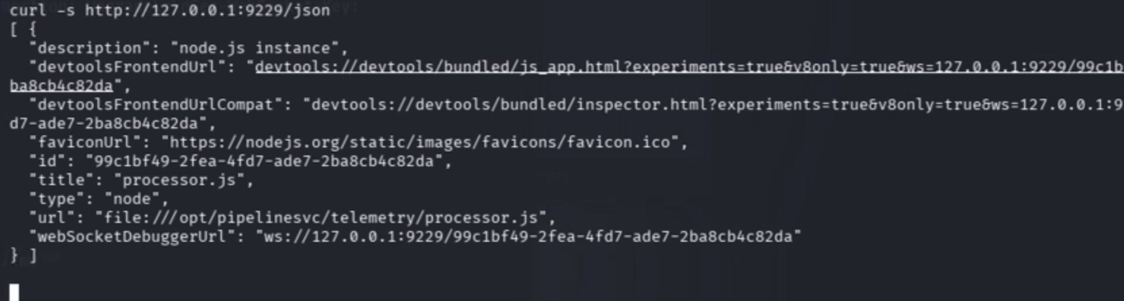 Node.js Debug Endpoint