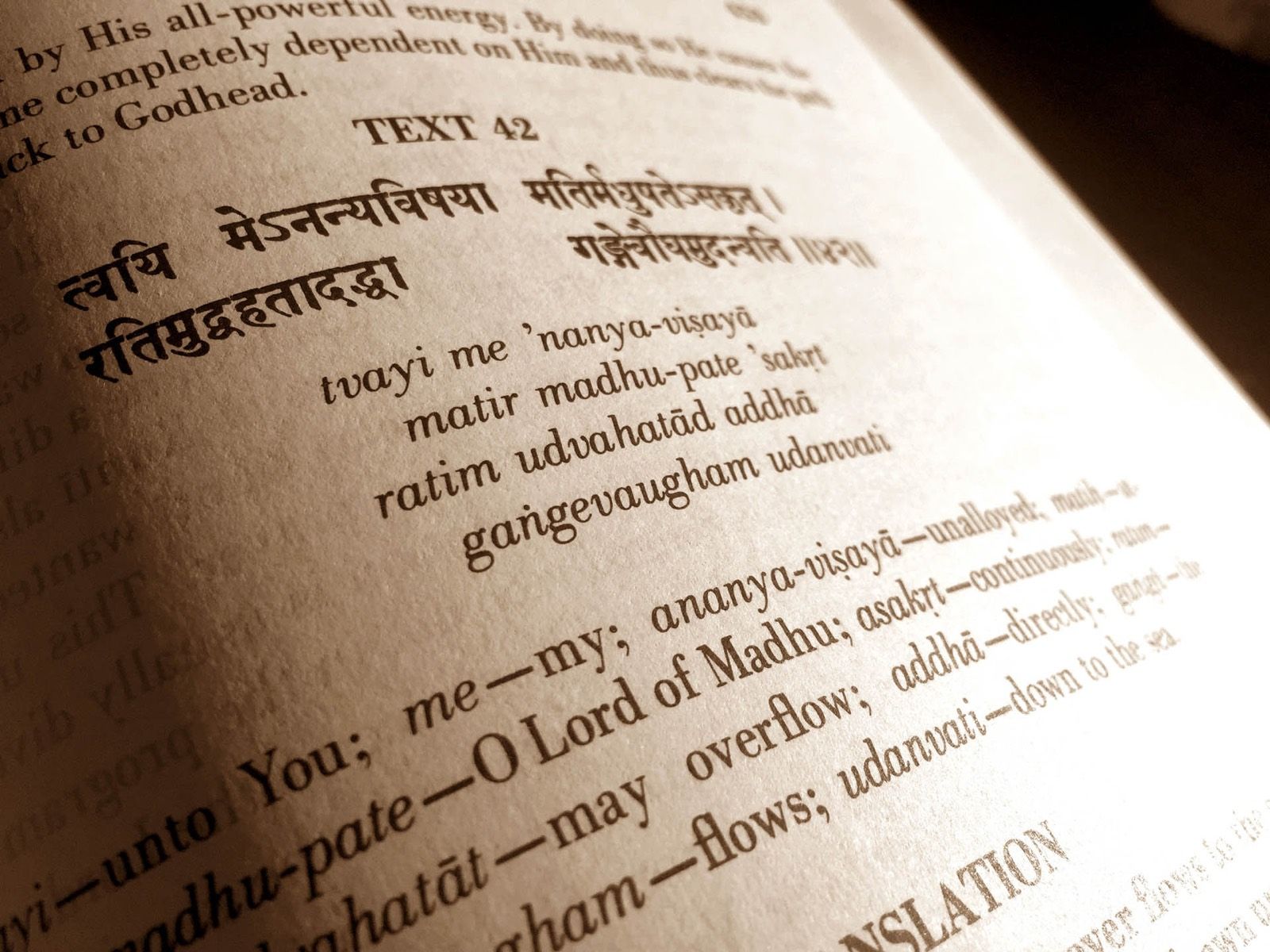 Die vedischen Schriften – Bhagavad-gita und Srimad-Bhagavatam