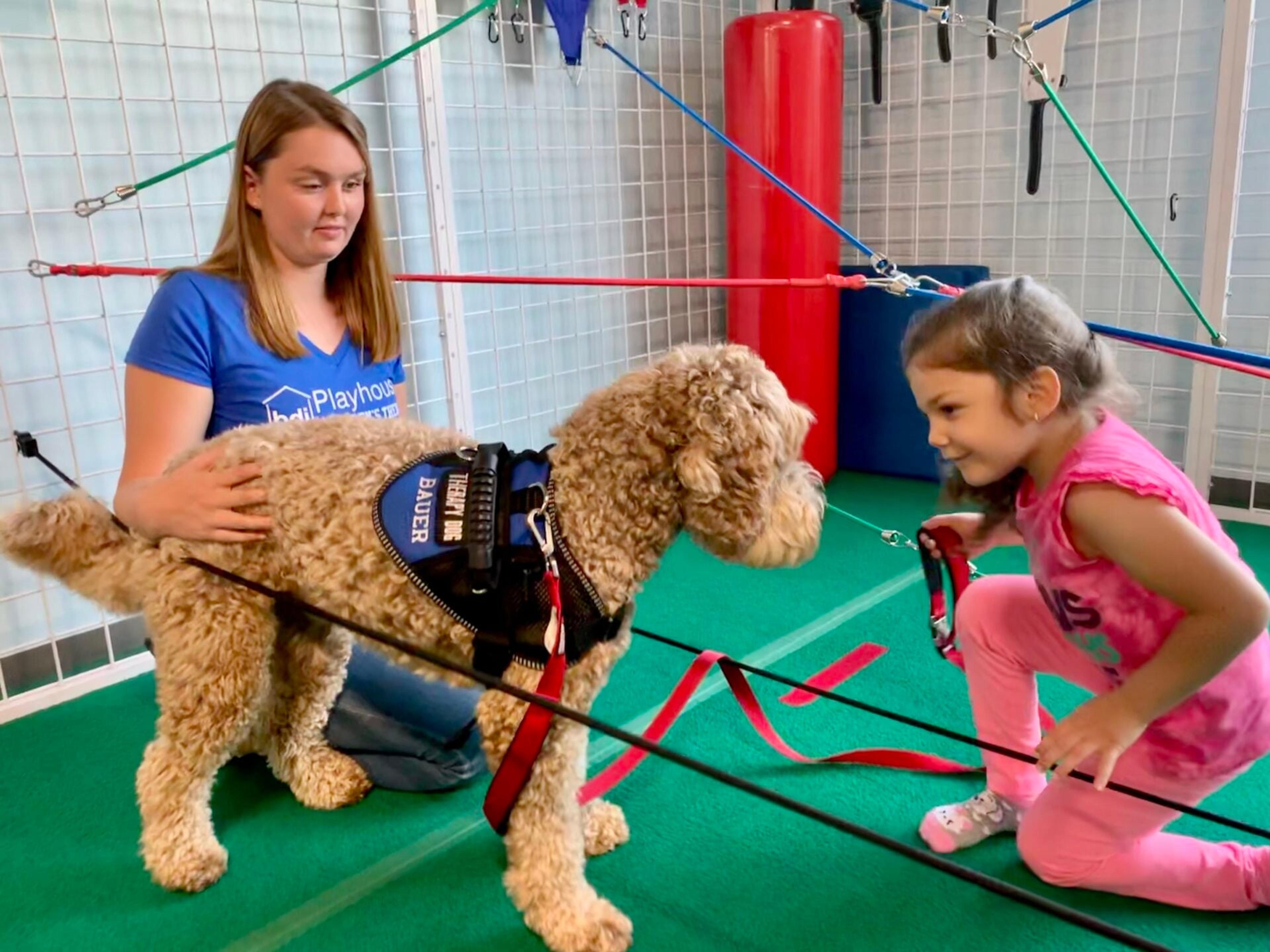 A girl holds the leash of a curly-haired therapy dog in a vest while a therapist kneels beside them in the gym