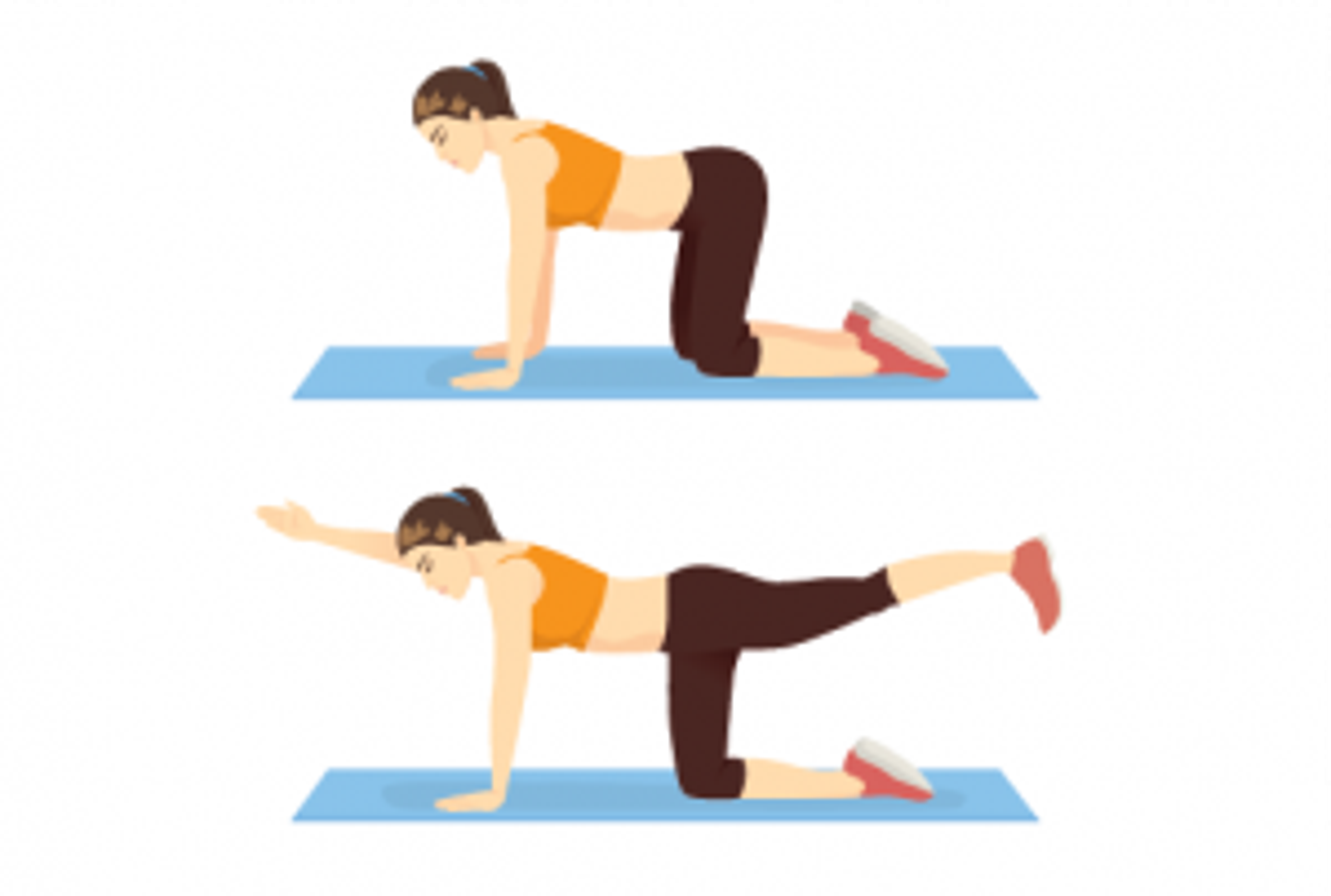 Illustration of the bird dog exercise: on hands and knees, then extending the opposite arm and leg