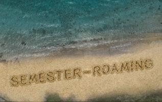 Hur fungerar roaming inom EU?