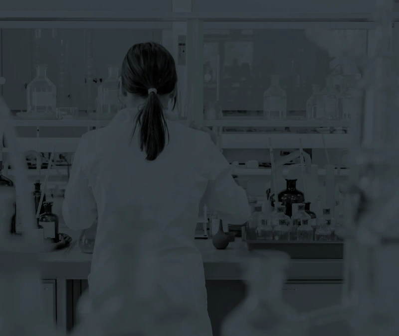 Captura de pantalla 2025-12-19 a las 11.15.31