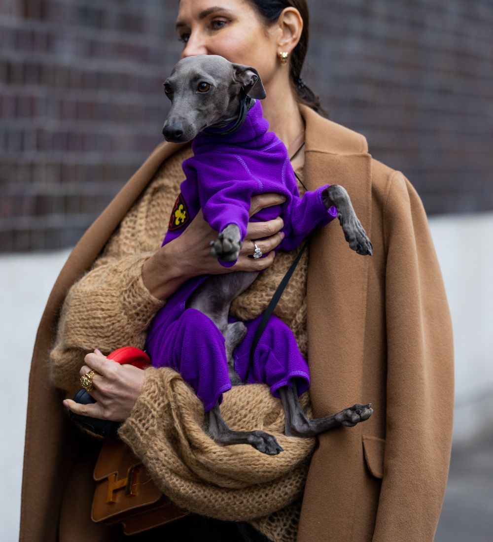 woman holding dog 