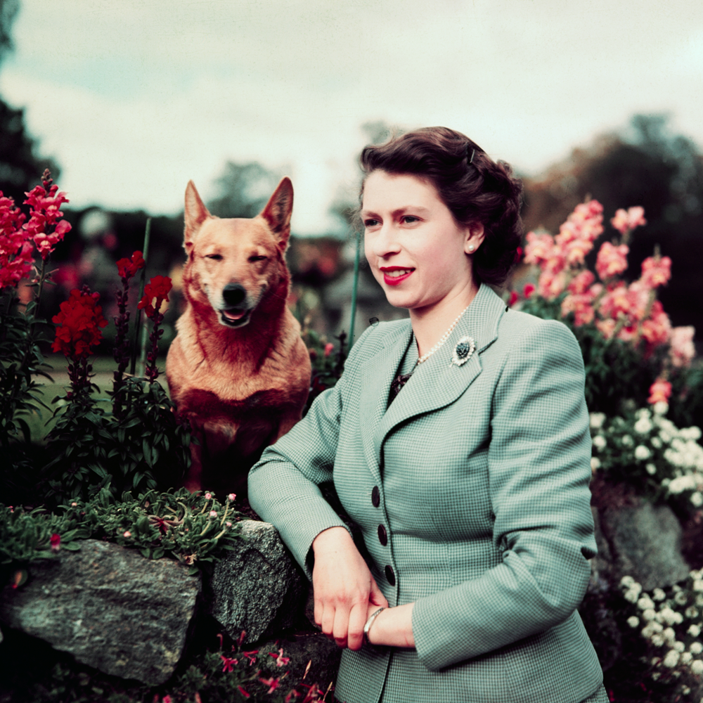 Queen Elizabeth II. Image: Getty