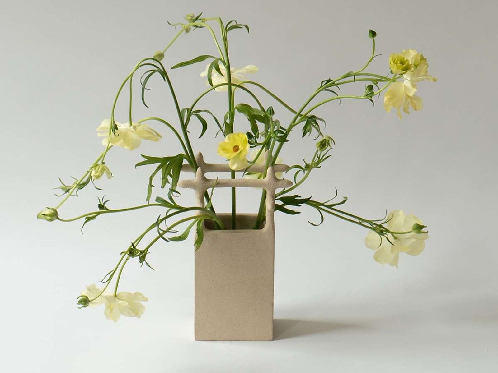 CERAMICS by SOLENNE BELLOIR - Image 1