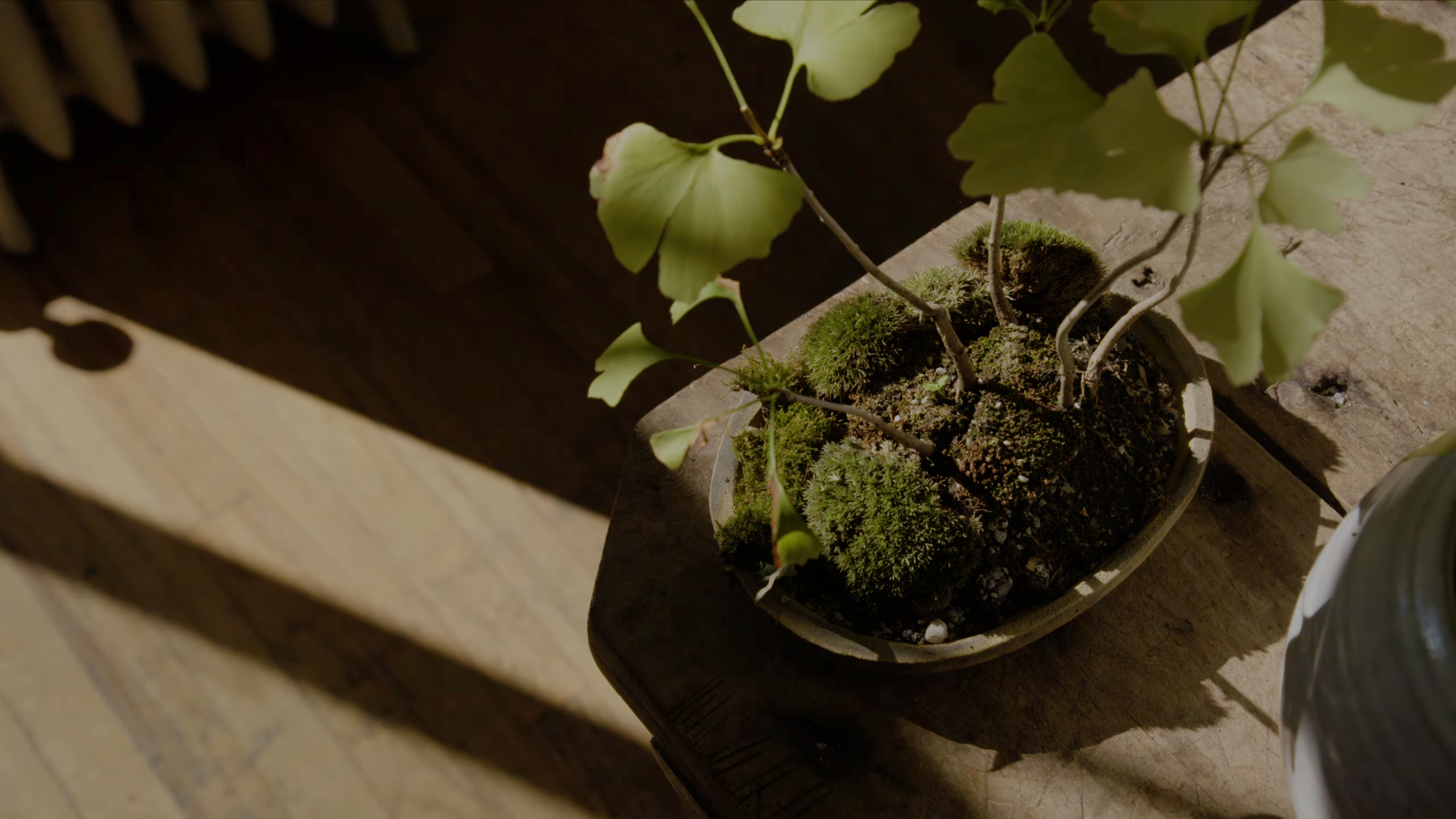 A CONVERSATION WITH: Dandy Farmer