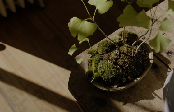 A CONVERSATION WITH: Dandy Farmer