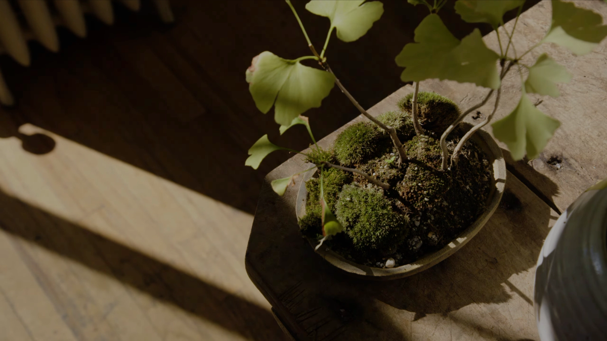 A CONVERSATION WITH: Dandy Farmer