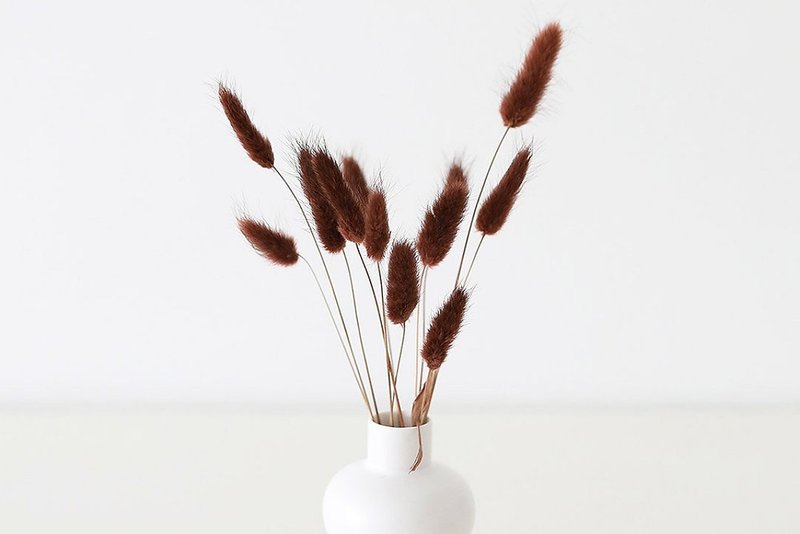 DRIED & PRESERVED FLOWERS by AFLORAL