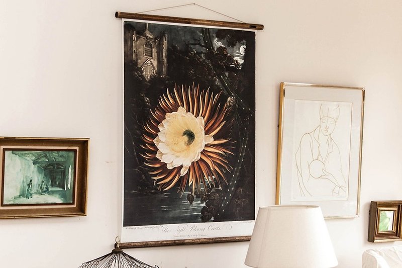 THE NIGHT FLOWER by ERSTWHILE