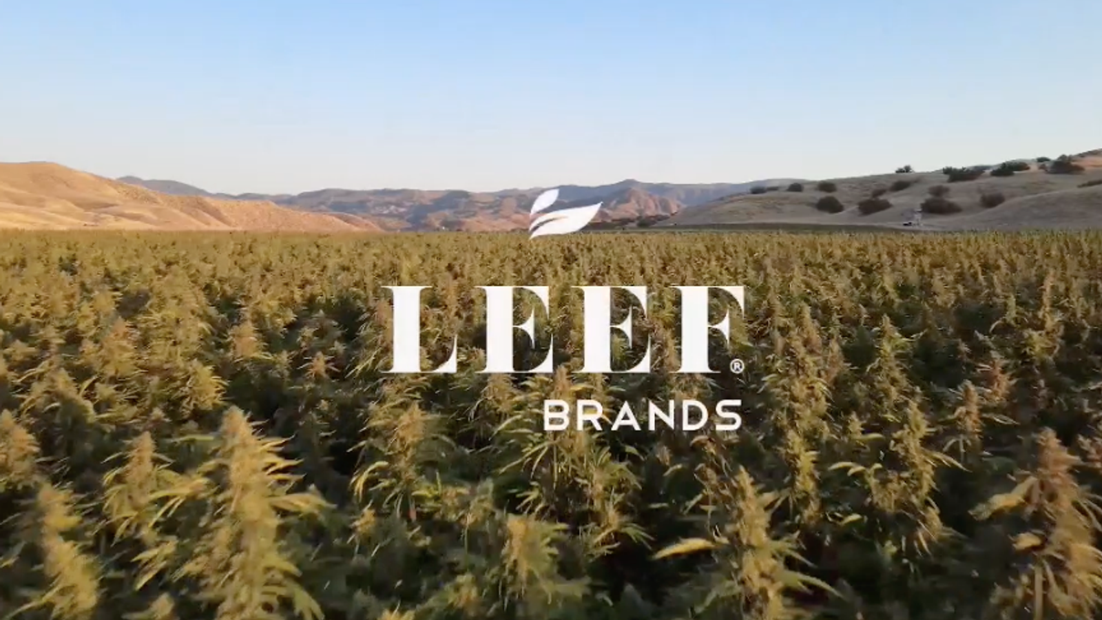 How LEEF Brands Powers Growth from the Lab, Not the Retail Shelf