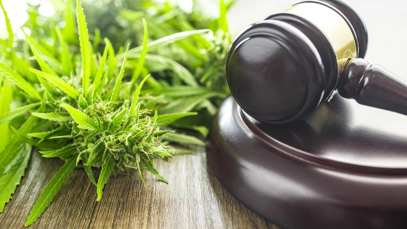The U.S. Government Argues for Cannabis Rescheduling