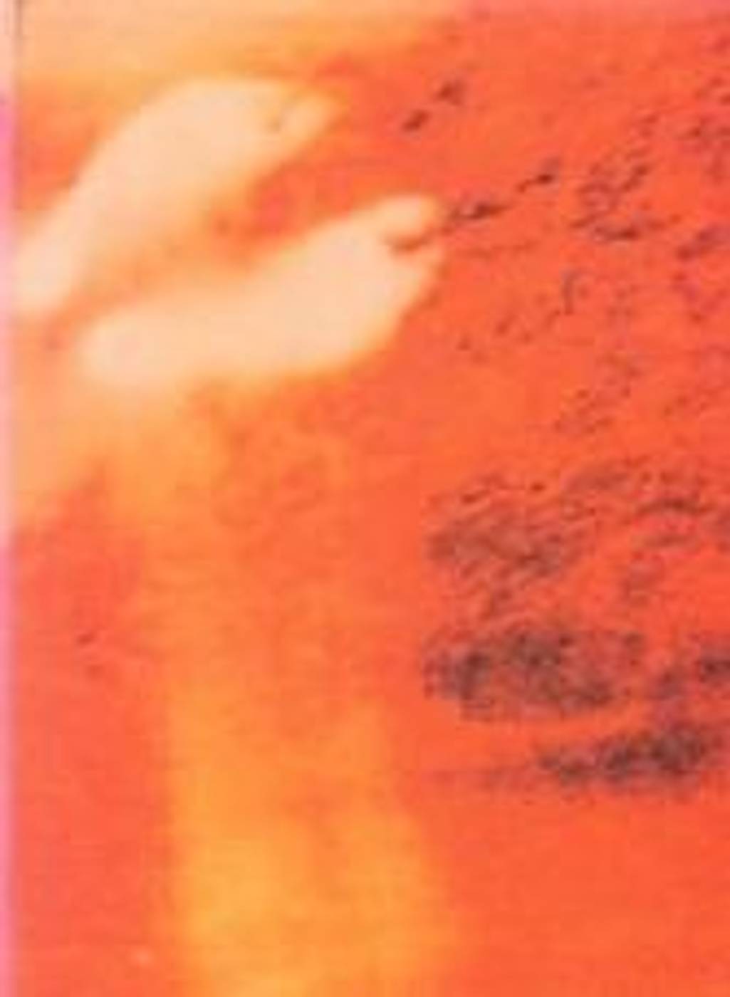 ELISABETH HÖLZL – AGENDA CROSS