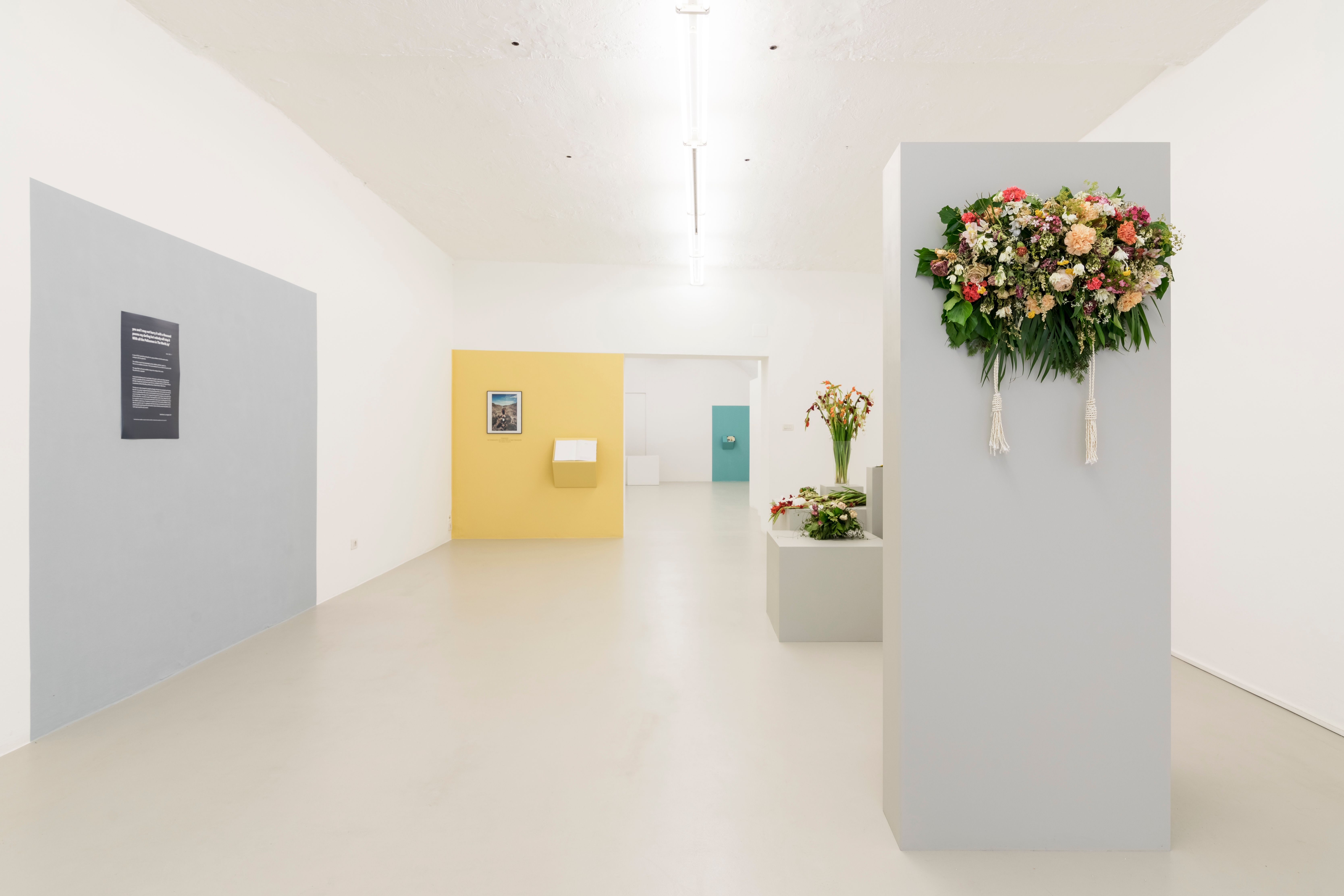 Ausstellungsansicht des 01.06.2017, Foto Guadagnini e Sorvillo ©argekunst