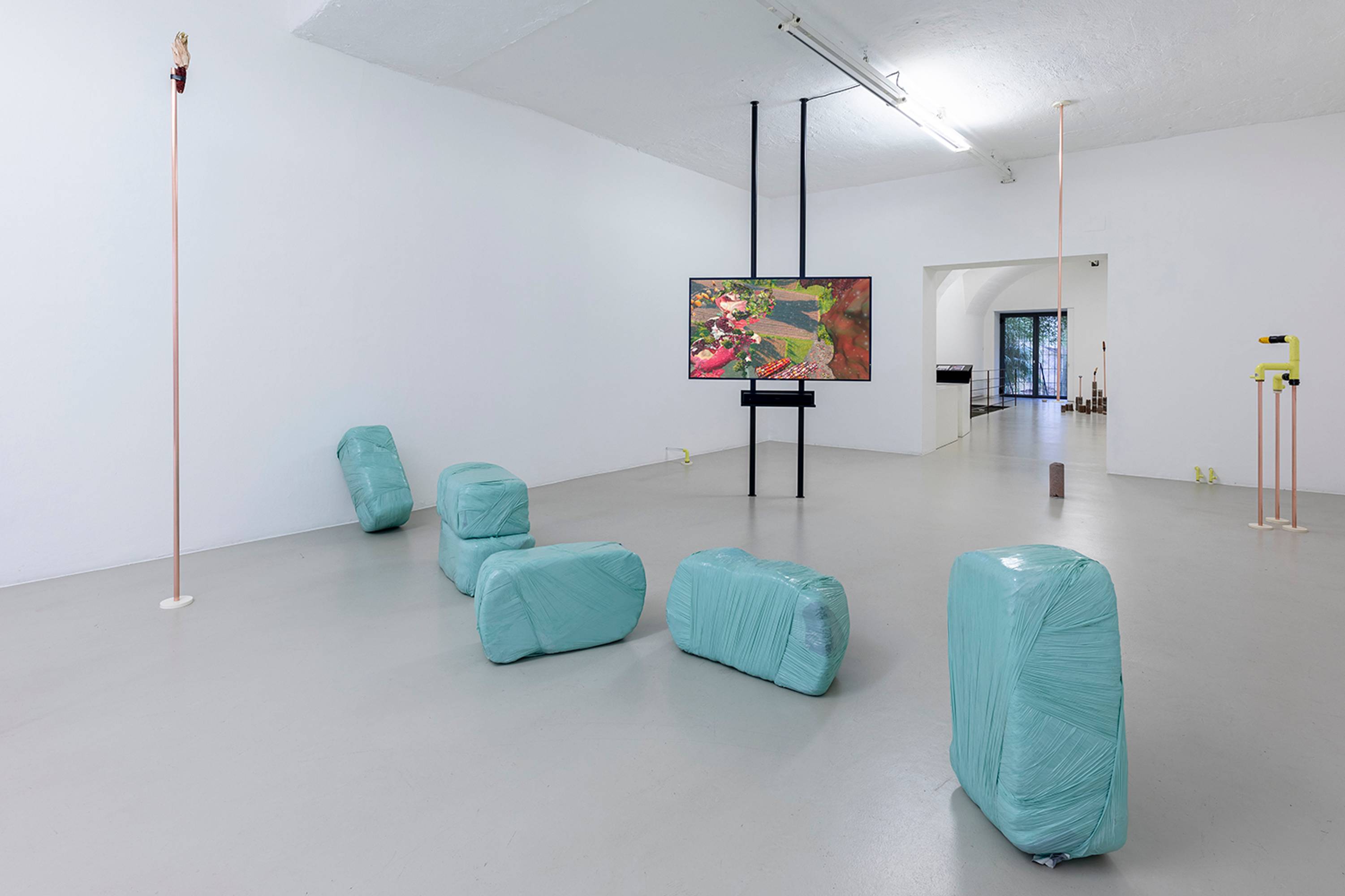 Katrin Hornek, Plant Plant, exhibition view, ©ar/ge kunst and BAU, photo Luca Guadagnini, 2021