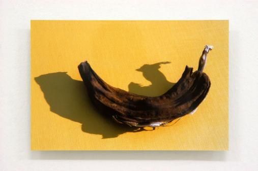 Exhibiton view, Brigitte Mahlknecht, 2004