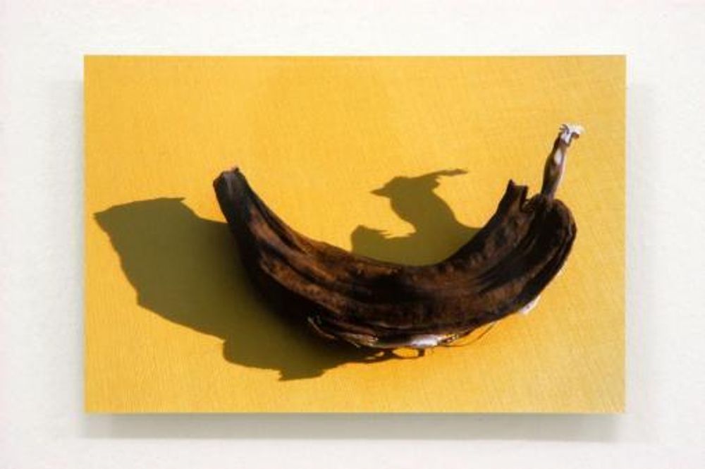 Exhibiton view, Brigitte Mahlknecht, 2004