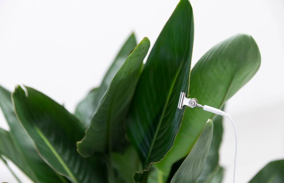 ©ar/ge kunst, Foto Tiberio Sorvillo, 2020