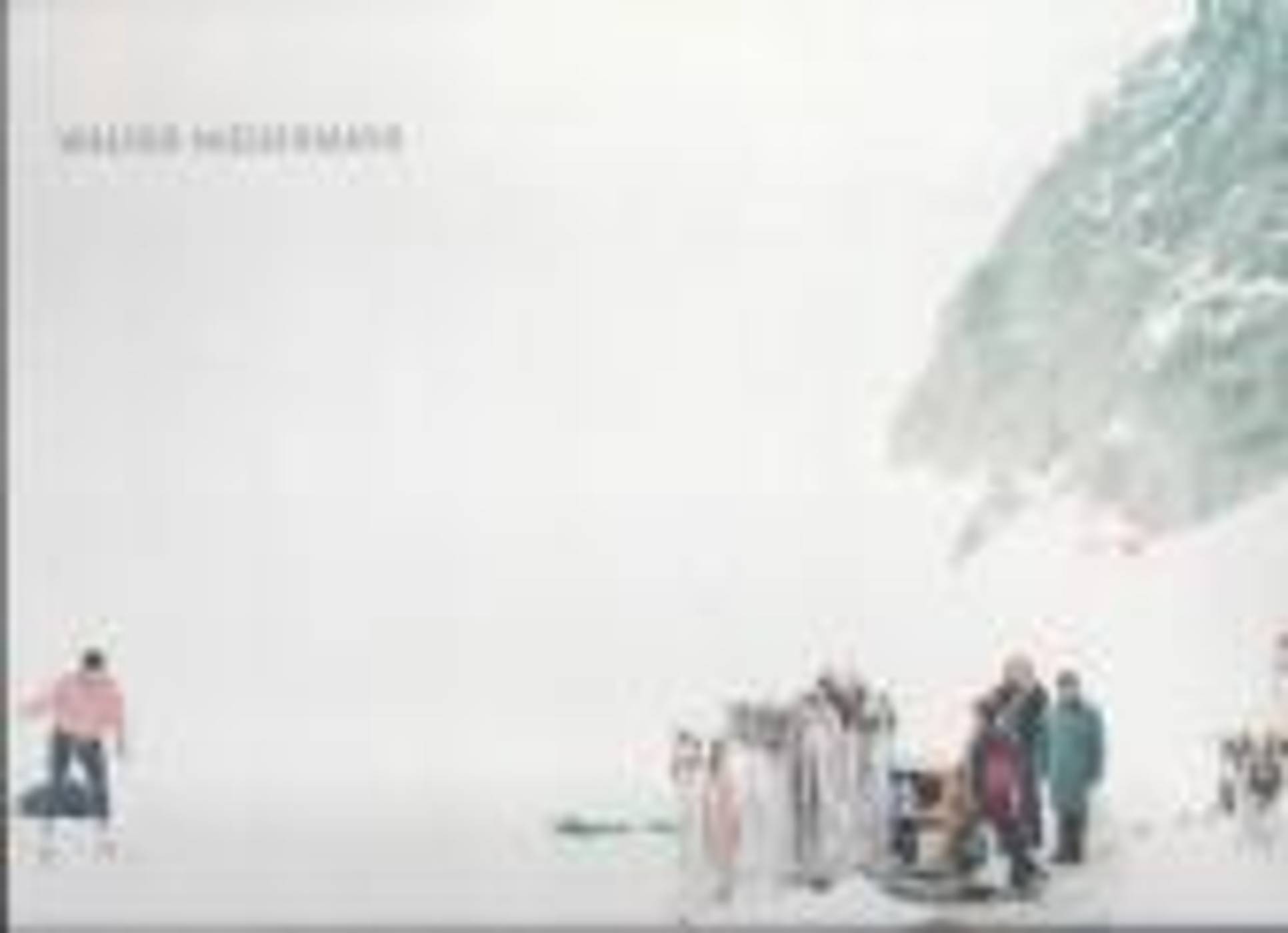 WALTER NIEDERMAYR – MOMENTARY RESORTS