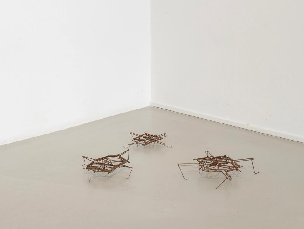 Leander Schwazer, “Ich kann beim besten Willen keine Falle erkennen”, 2025. Ph. Tiberio Sorvillo.