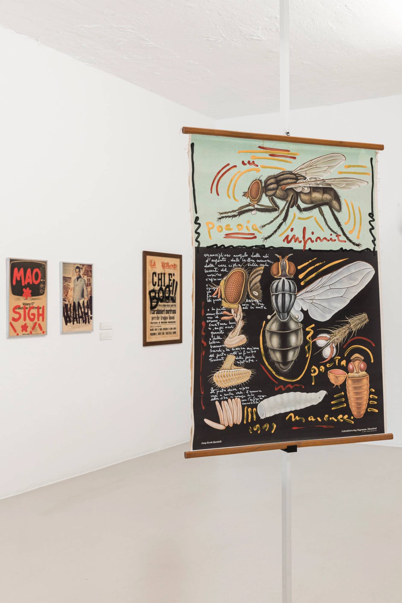 ArGe Kunst. Lucia Marcucci, L'Offesa. Exhibition view ©Tiberio Sorvillo