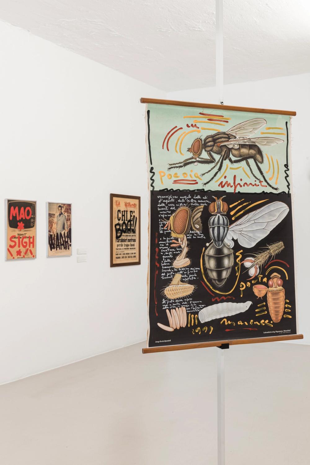 ArGe Kunst. Lucia Marcucci, L'Offesa. Exhibition view ©Tiberio Sorvillo