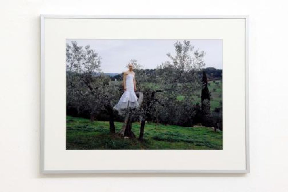 Exhibiton view, go climb the mountains, I tell you, and eat strawberries, 2006