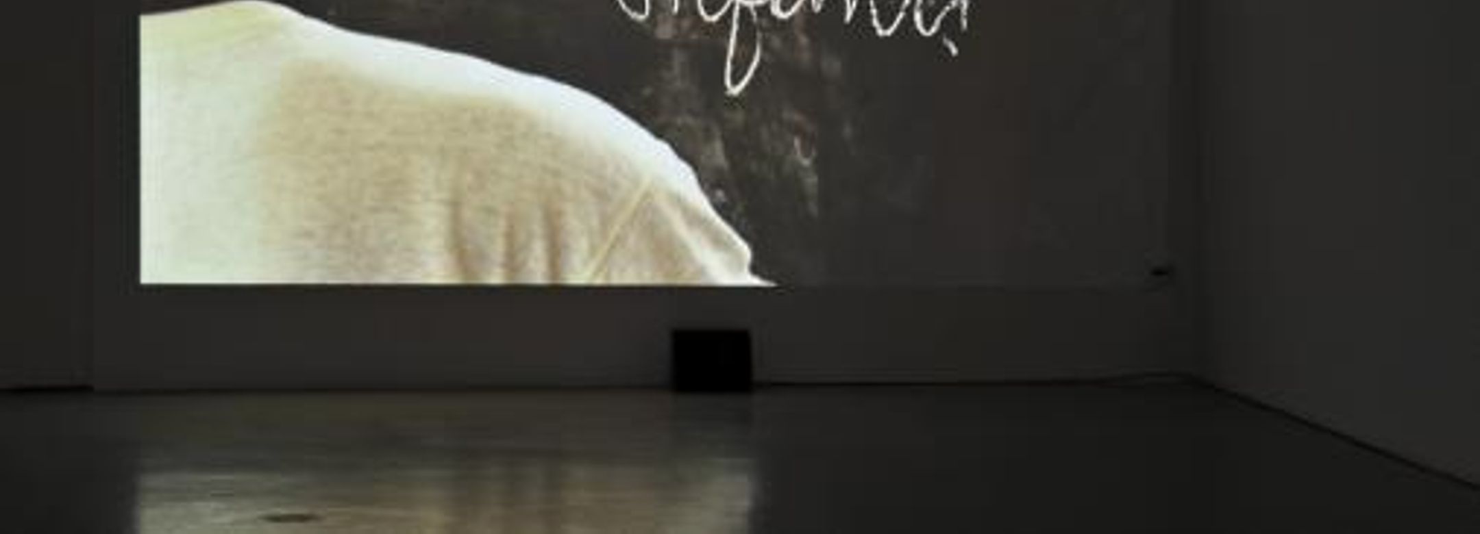 Exhibition view, Bakroman, Gianluca & Massimiliano De Serio, 2010 Photo: M. Pardatscher