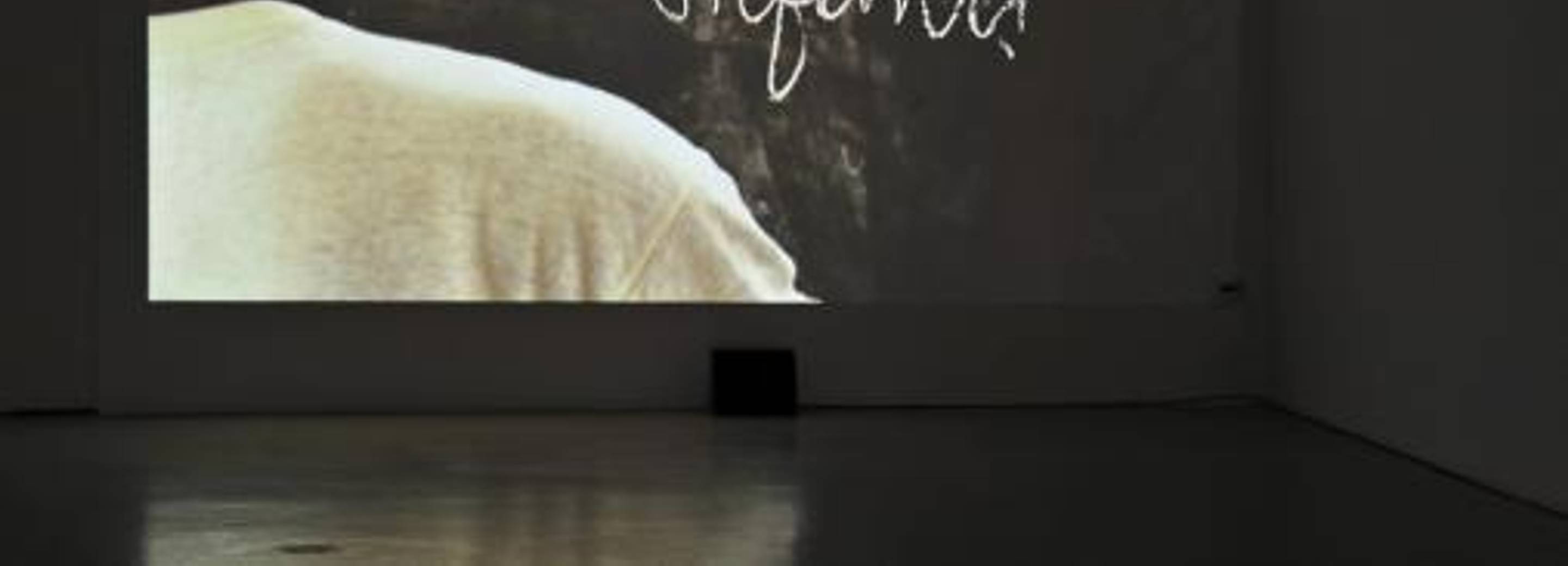 Exhibition view, Bakroman, Gianluca & Massimiliano De Serio, 2010 Photo: M. Pardatscher