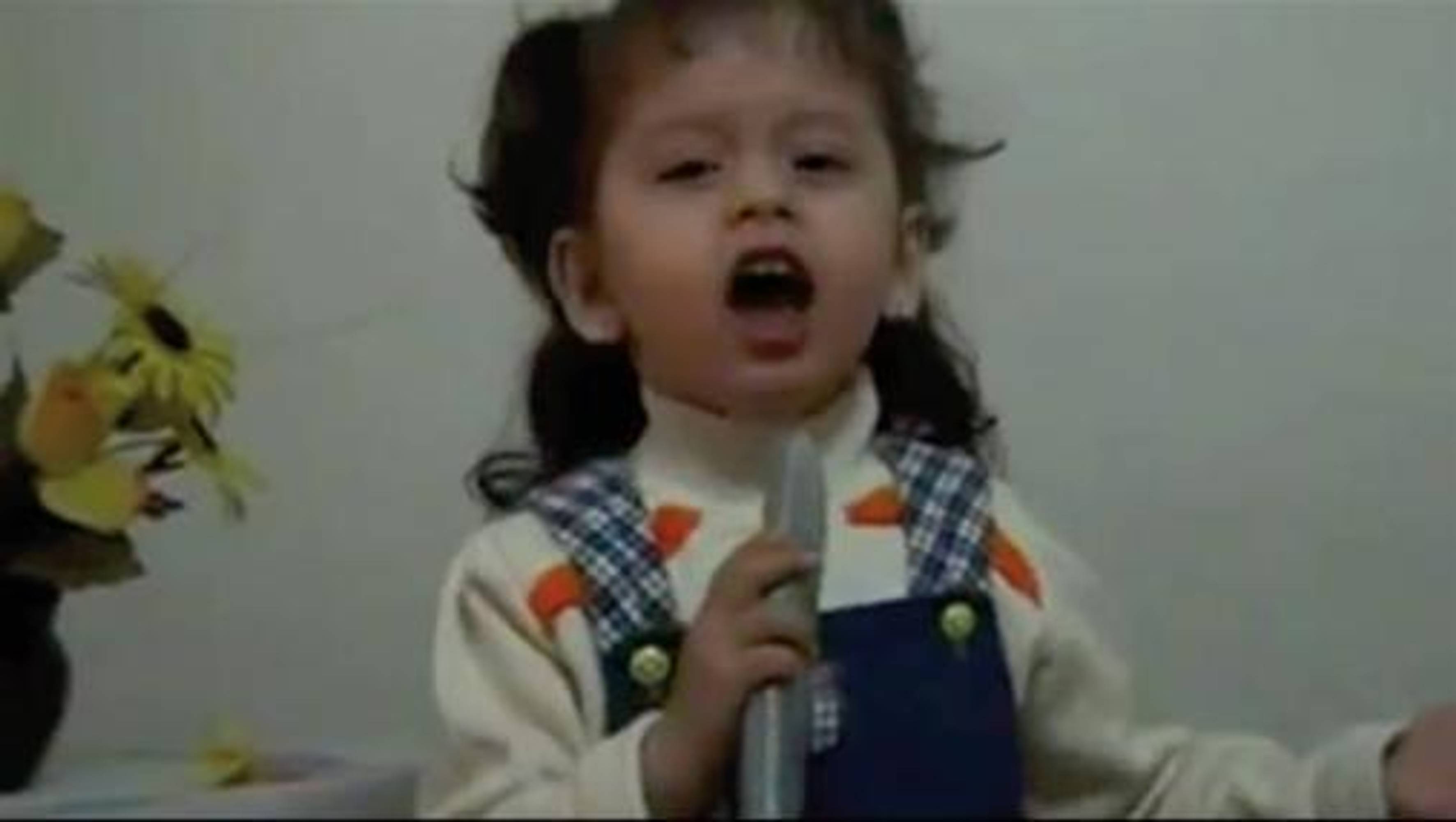 Selma AlaçamIstiklal Marsi / Turkish National Anthem (2010) DVD loop; 4:28 min. Courtesy the artist