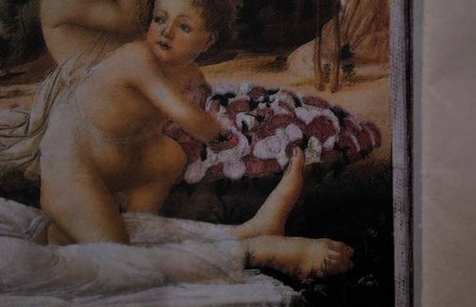 Rob Johannesma, Newspapers 2012