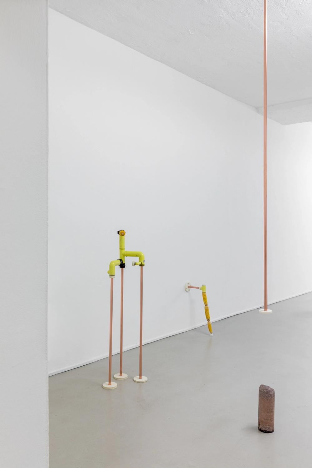 Katrin Hornek, Plant Plant, exhibition view, ©ar/ge kunst and BAU, photo Luca Guadagnini, 2021