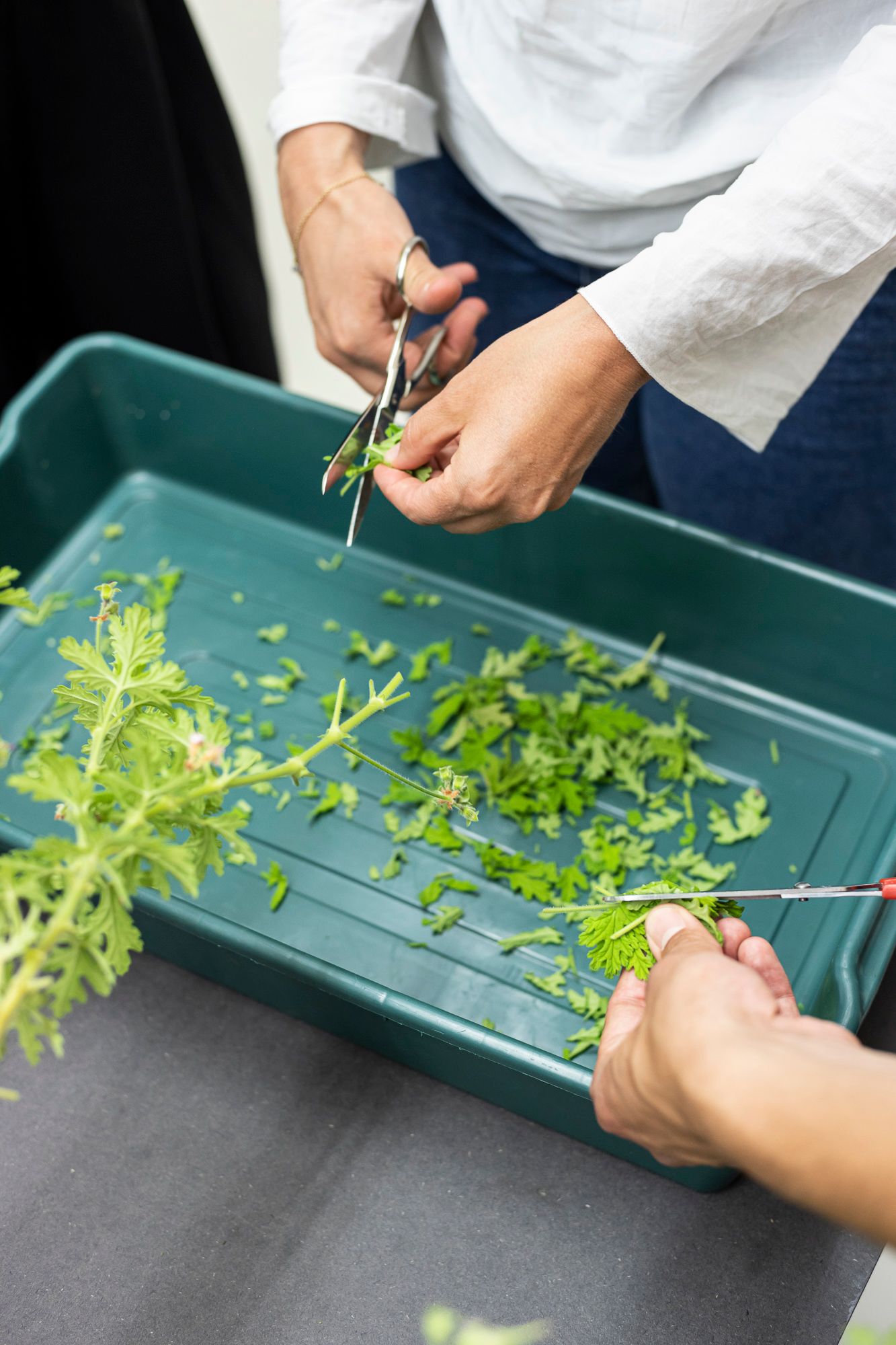 Savoir-Vivre workshop #10, curated by BAU, ©ar/ge kunst, photo Tiberio Sorvillo, 2022