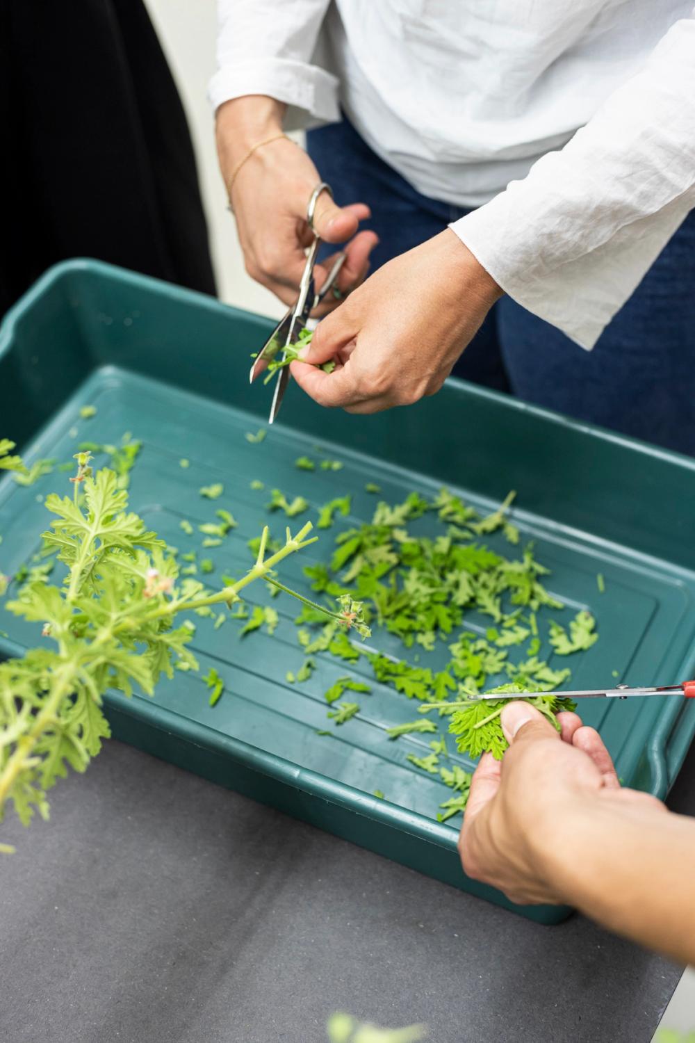 Savoir-Vivre workshop #10, curated by BAU, ©ar/ge kunst, photo Tiberio Sorvillo, 2022