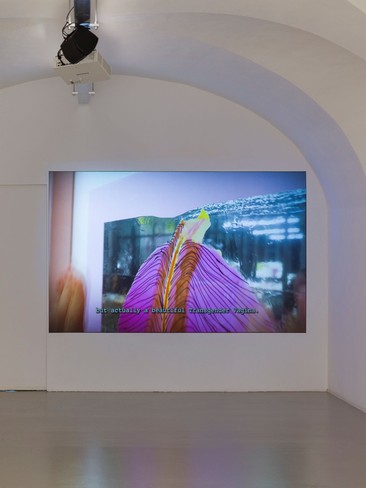 Exhibition View, video PINK! is the warmest colour, 2025, Ar/Ge Kunst, Atelier dell'Errore. Photo Tiberio Sorvillo