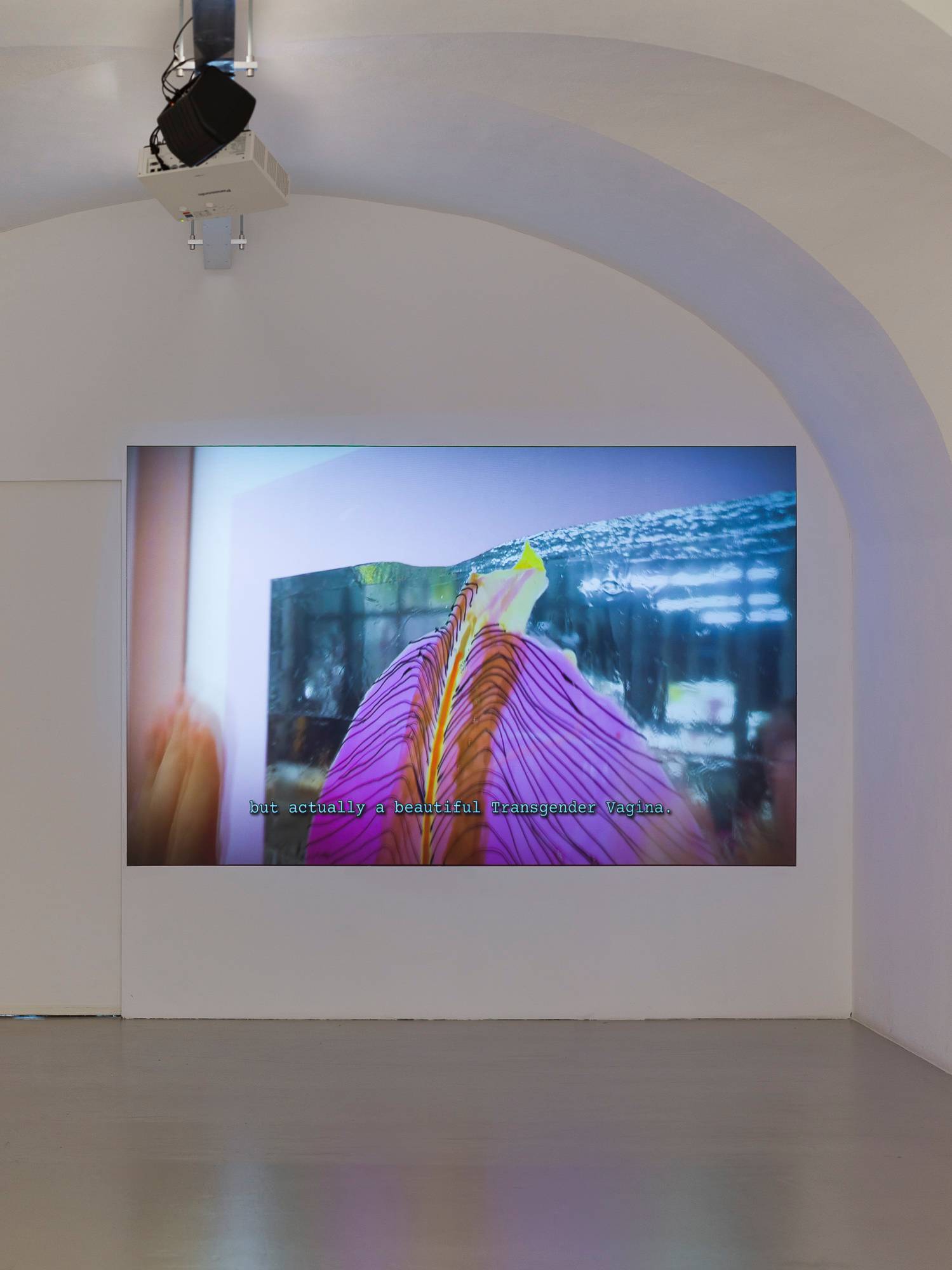 Exhibition View, video PINK! is the warmest colour, 2025, Ar/Ge Kunst, Atelier dell'Errore. Photo Tiberio Sorvillo