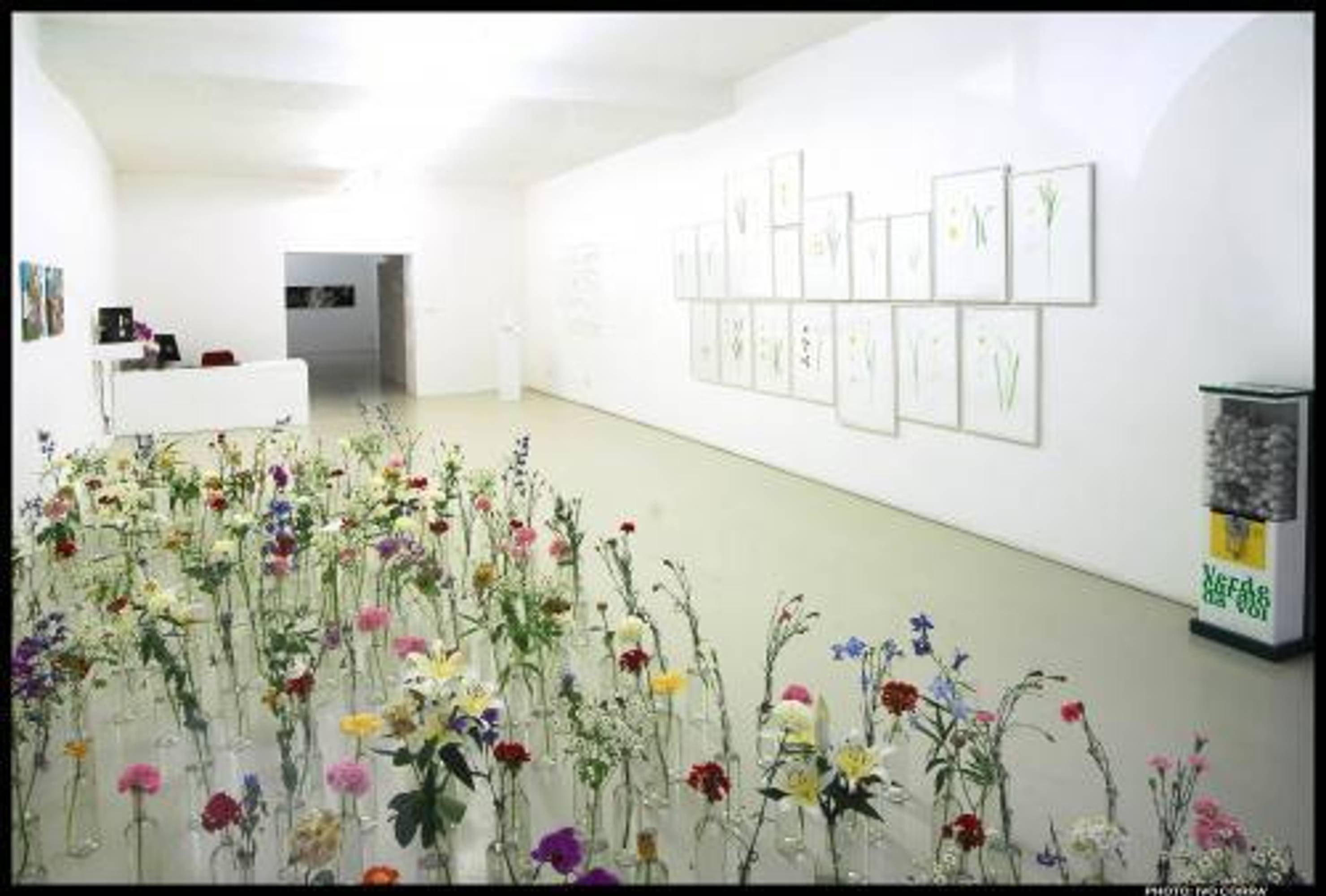 Exhibition view, Flora, 2008