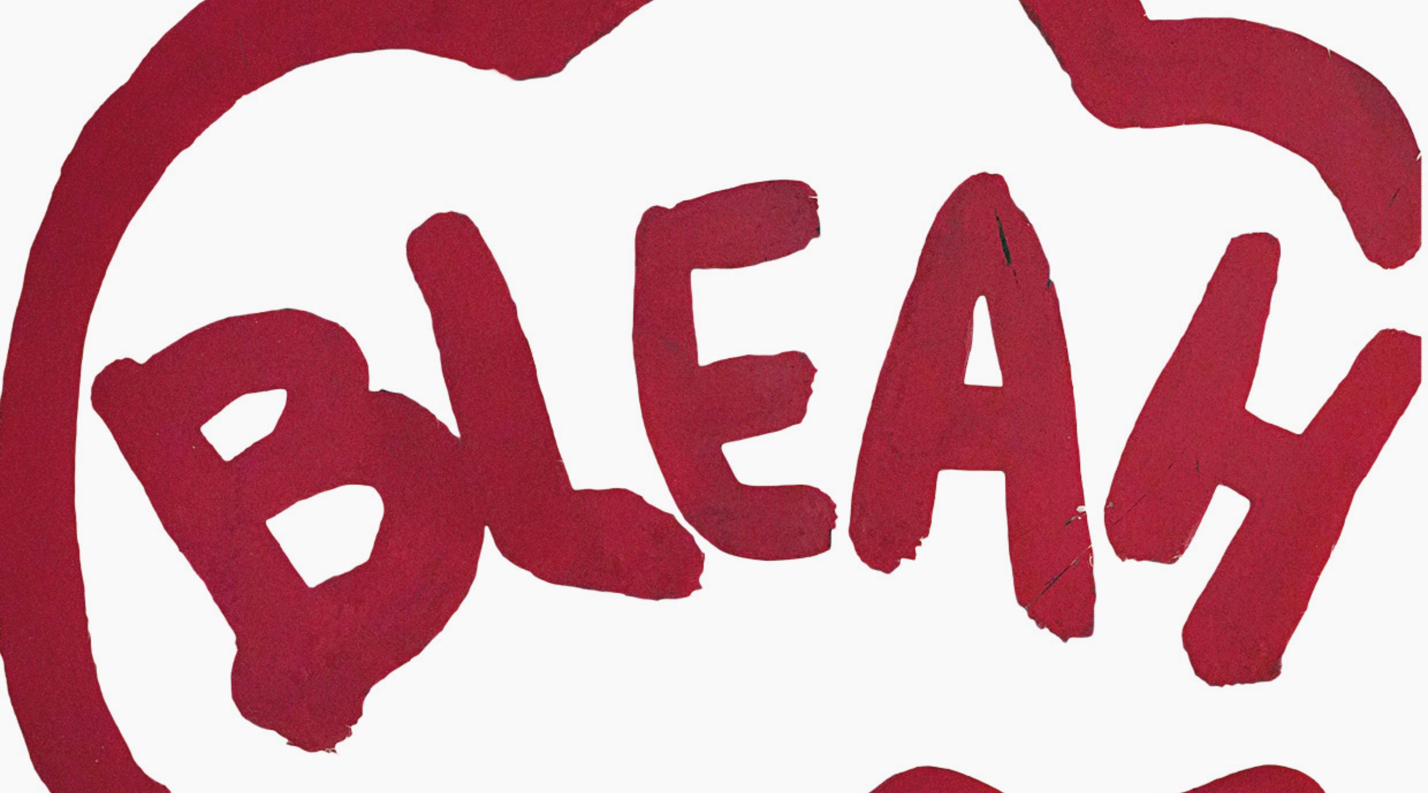 extract image from Lucia Marcucci, Bleah!!! (1967) (c) Lucia Marcucci