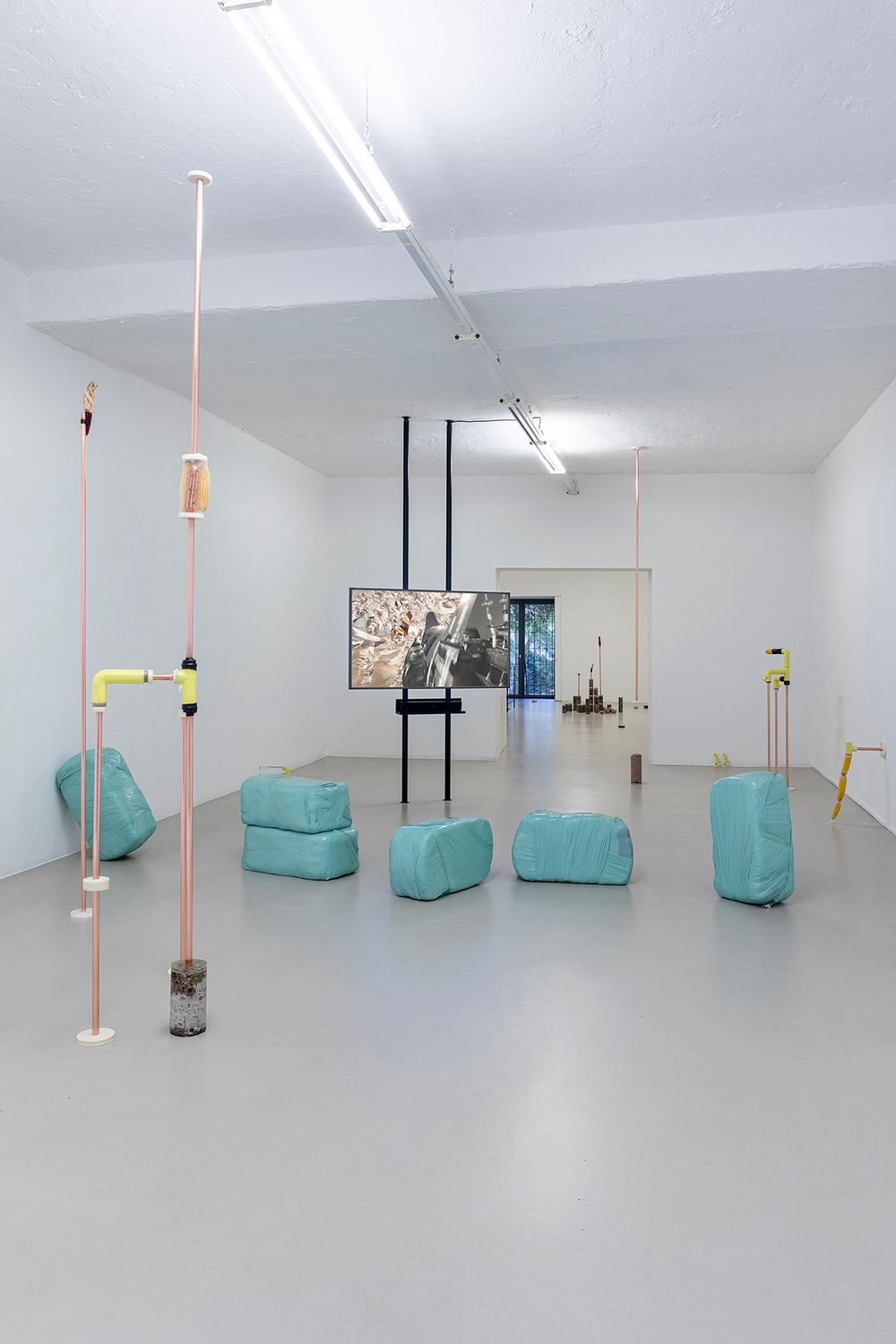 Katrin Hornek, Plant Plant, exhibition view, ©ar/ge kunst and BAU, photo Luca Guadagnini, 2021