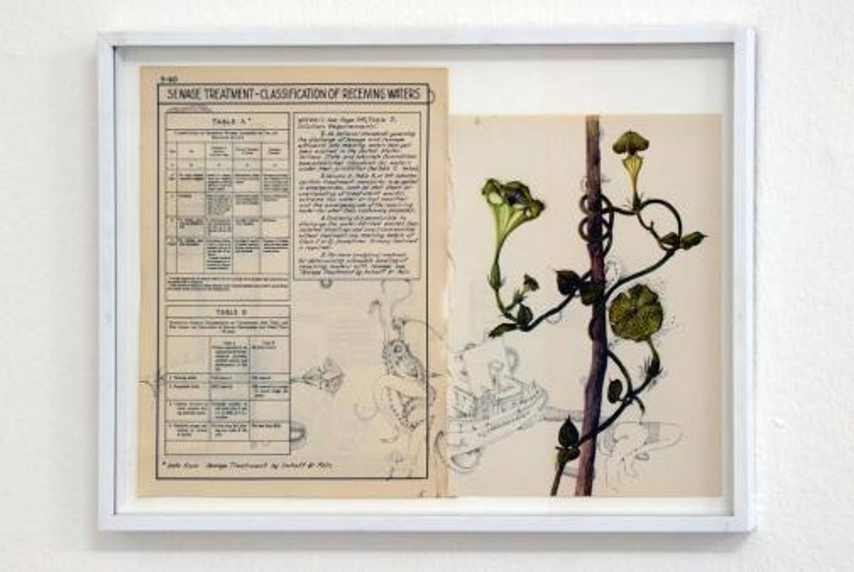 Exhibition view, Ophelia’s World, Zoë Mendelson, 2007