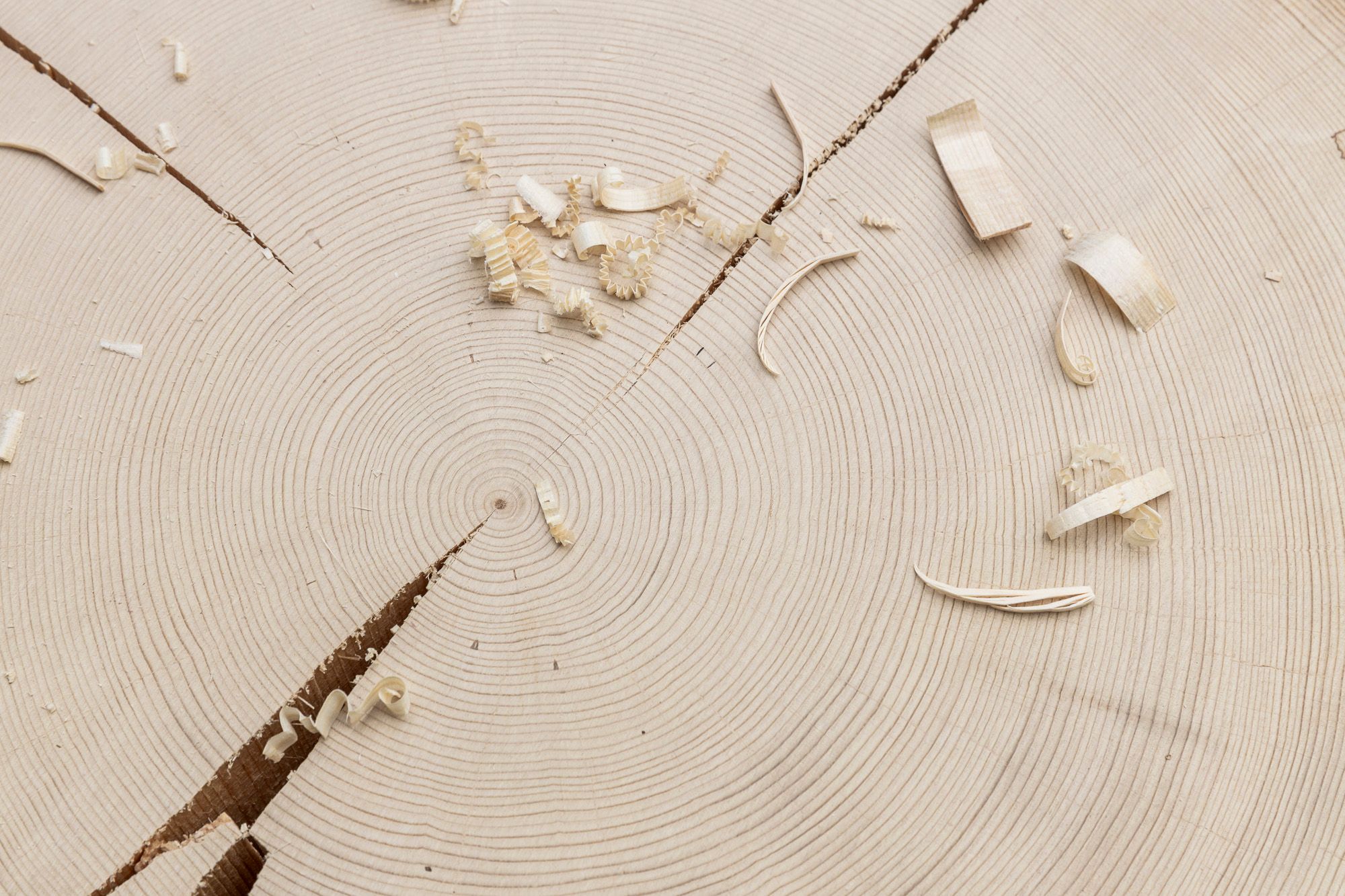 ©ar/ge kunst, Foto Tiberio Sorvillo, 2020