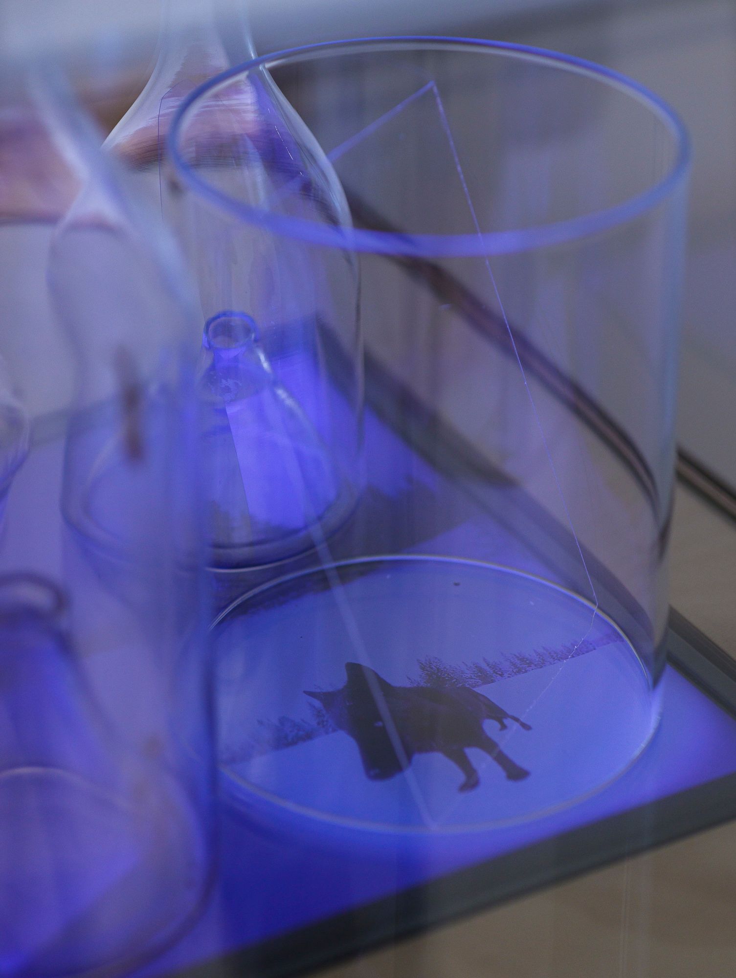 Leander Schwazer, “Fountain”, 2025. Ph. Tiberio Sorvillo