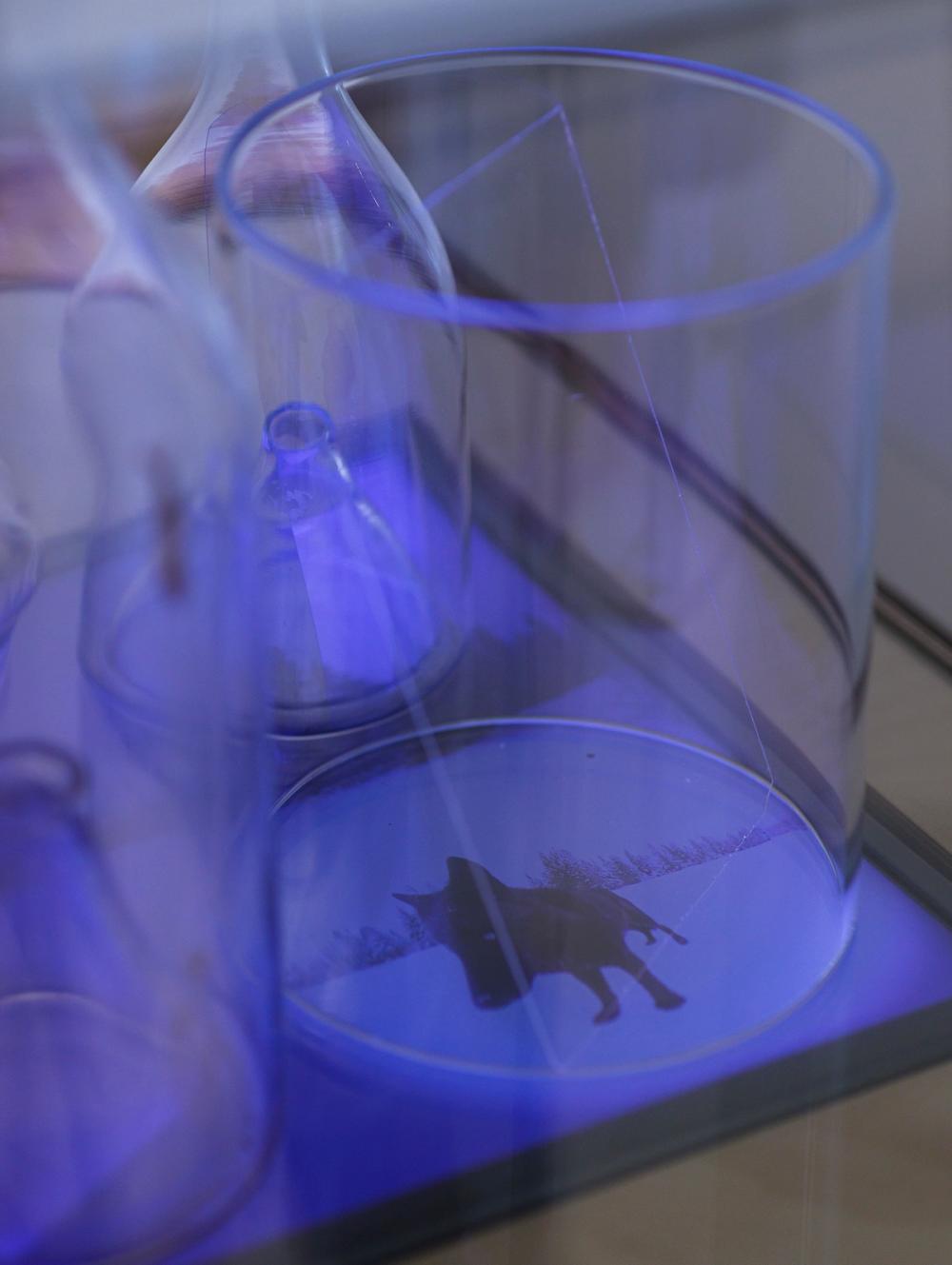 Leander Schwazer, “Fountain”, 2025. Ph. Tiberio Sorvillo