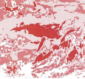 The Head of Europe (2012)