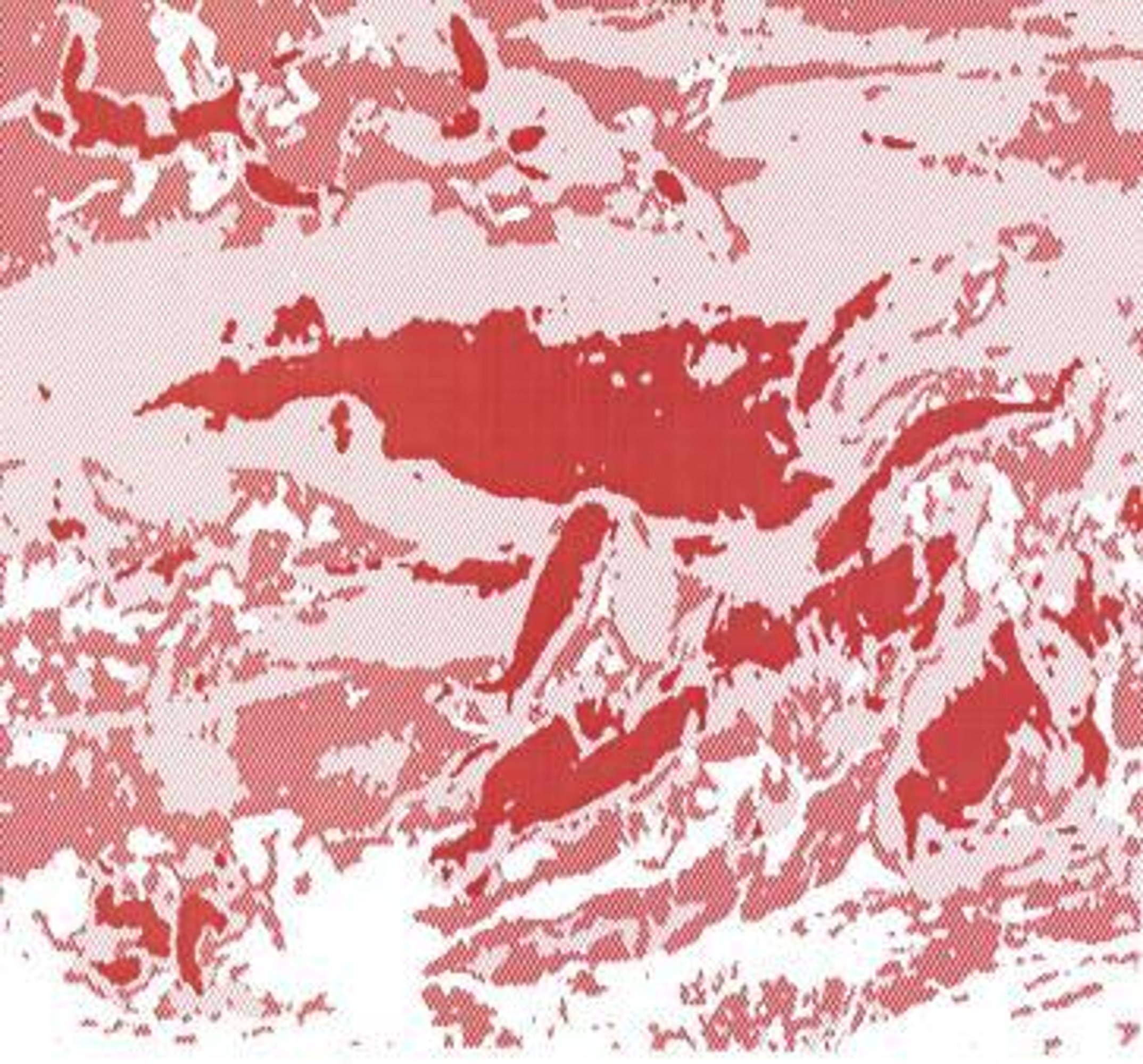 The Head of Europe (2012)