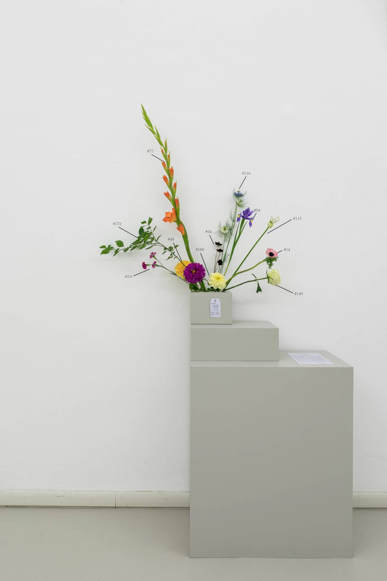 Natalie Czech – A critic’s bouquet by Övül O. Durmusoglu for Flowers are Documents – Arrangement I and II, 2017.Schnittblumen und Vinyl (Ansicht des 26.05.17), Foto Guadagnini e Sorvillo ©argekunst
