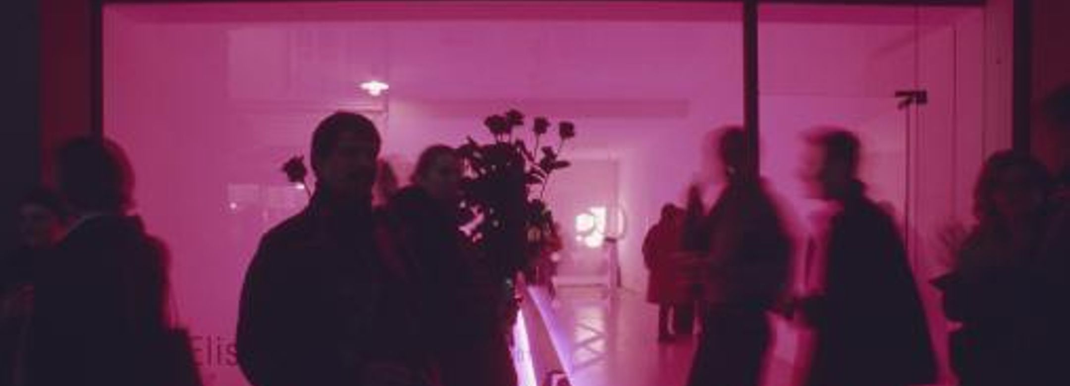 Futuro
In corso
Passato
2014
2013
2012
2011
2010
2009
2001-2008
1987-2000 
Exhibition view, Elisabeth Hölzl, 2001 
Exhibition view, Elisabeth Hölzl, 2001