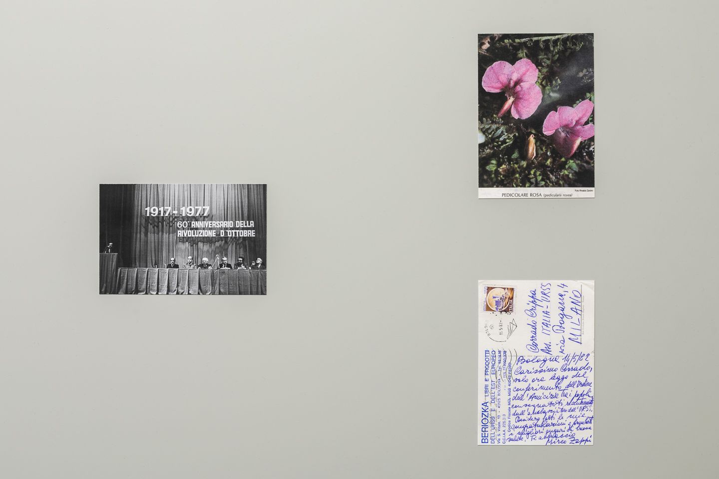 Vladislav Shapovalov, Image Diplomacy, Installation View at ar/ge kunst. Photo Sorvillo, 2017 ©argekunst, Bolzano